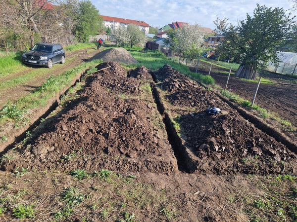 Sapatura mecanizata si turnare talpa fundatie casa 130 mp Ilfov Snagov