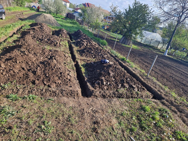 Sapatura mecanizata si turnare talpa fundatie casa 130 mp Ilfov Snagov