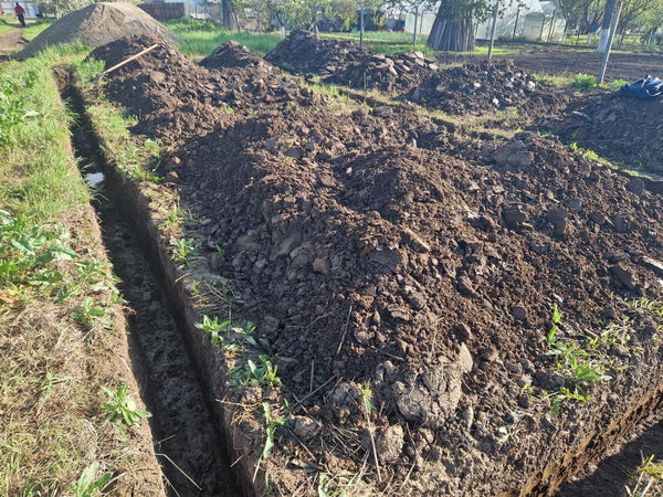 Sapatura mecanizata si turnare talpa fundatie casa 130 mp Ilfov Snagov