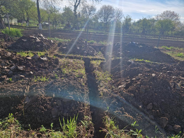 Sapatura mecanizata si turnare talpa fundatie casa 130 mp Ilfov Snagov