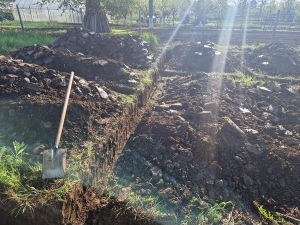 Sapatura mecanizata si turnare talpa fundatie casa 130 mp Ilfov Snagov