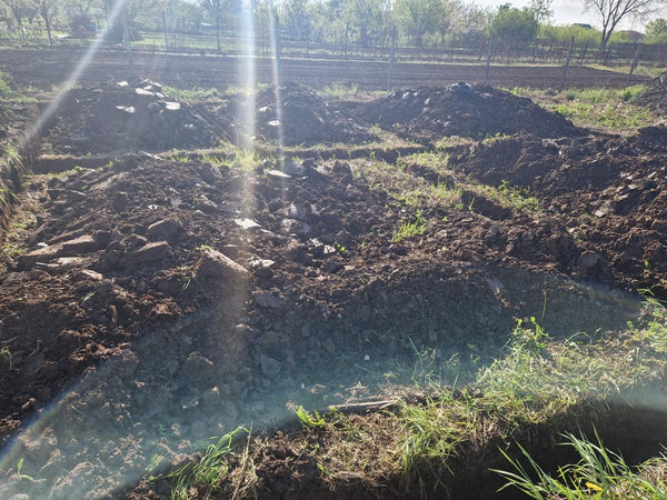 Sapatura mecanizata si turnare talpa fundatie casa 130 mp Ilfov Snagov