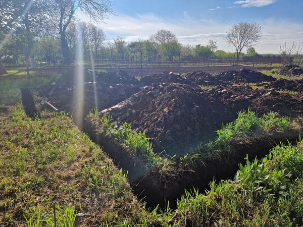 Sapatura mecanizata si turnare talpa fundatie casa 130 mp Ilfov Snagov