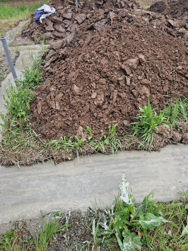 Sapatura mecanizata si turnare talpa fundatie casa 130 mp Ilfov Snagov