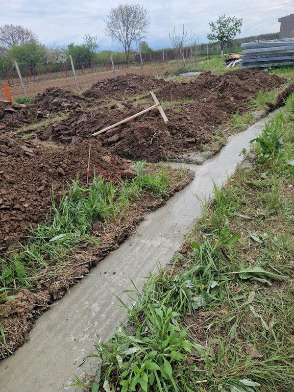 Sapatura mecanizata si turnare talpa fundatie casa 130 mp Ilfov Snagov