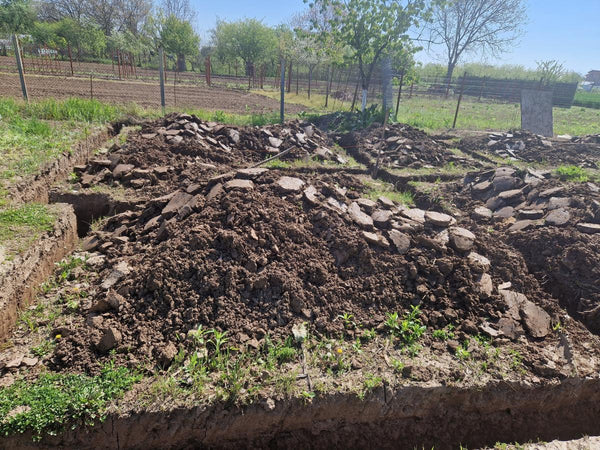 Sapatura mecanizata si turnare talpa fundatie casa 130 mp Ilfov Snagov