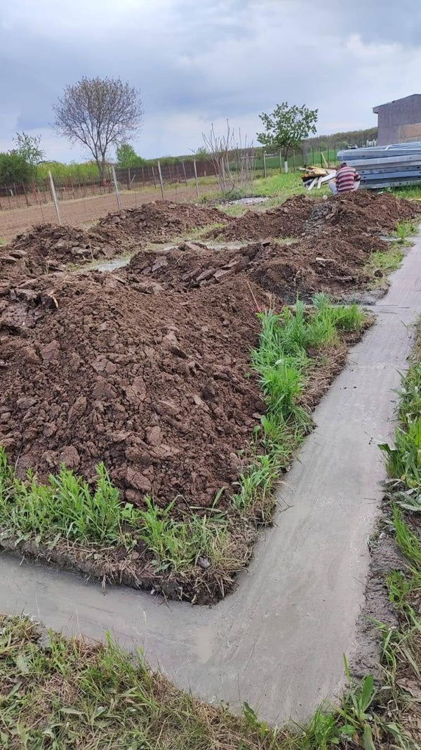 Sapatura mecanizata si turnare talpa fundatie casa 130 mp Ilfov Snagov