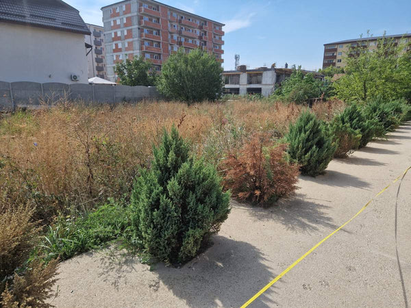 Trasare si sapatura fundatie casa parter etaj Bucuresti