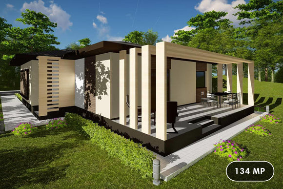 Proiect casa pe structura metalica fara etaj moderna 134-031 - fatada de casa cu lemn imagine 1
