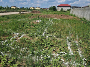 Constructie casa in Ilfov trasare si sapatura fundatie thumbnail
