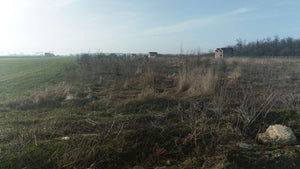 Decopertare sapatura si turnare beton mort proiect casa in Domnesti thumbnail