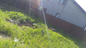 Constructie fundatie spatiu comercial, proiect structura metalica usoara thumbnail