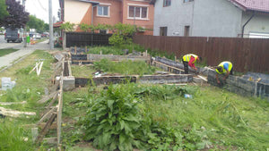 Constructie fundatie spatiu comercial, proiect structura metalica usoara thumbnail
