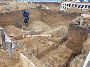 Plantare cuzineti in sapatura pentru proiect restaurant 620mp in Brasov thumbnail