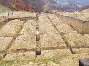 Plantare cuzineti in sapatura pentru proiect restaurant 620mp in Brasov thumbnail