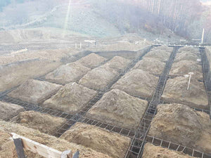 Plantare grinzi in sapatura pentru proiect restaurant 620mp in judetul Brasov thumbnail