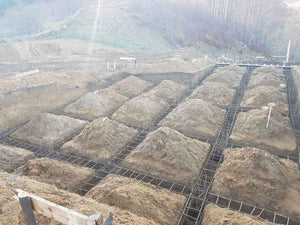 Plantare grinzi in sapatura pentru proiect restaurant 620mp in judetul Brasov thumbnail