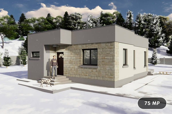 Proiect casa pe structura metalica 2 camere si 1 baie 75 mp - design casa mica poza 1