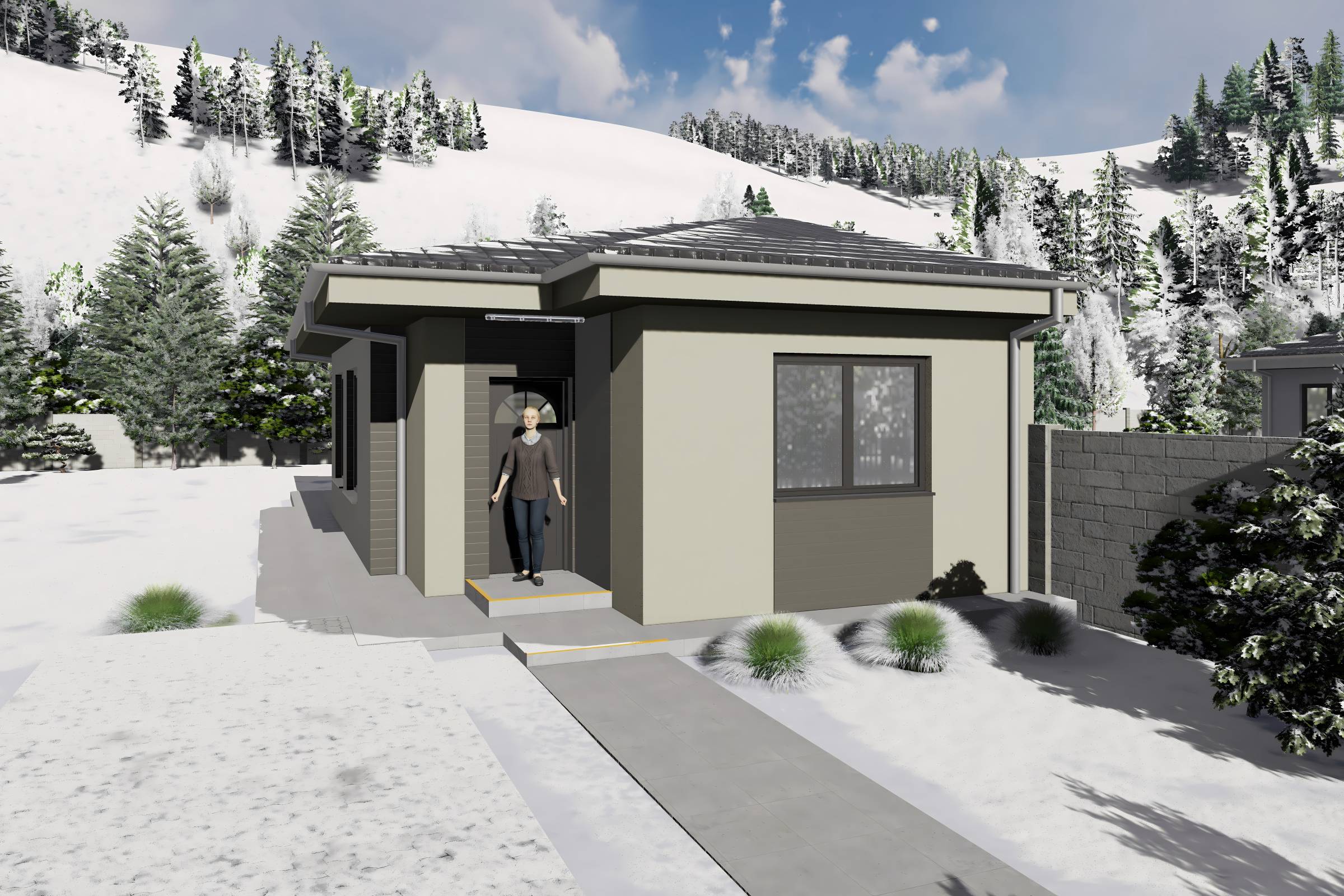 Proiect casa structura metalica alipita la calcan 2 camere - fatada casa pe teren ingust poza 2