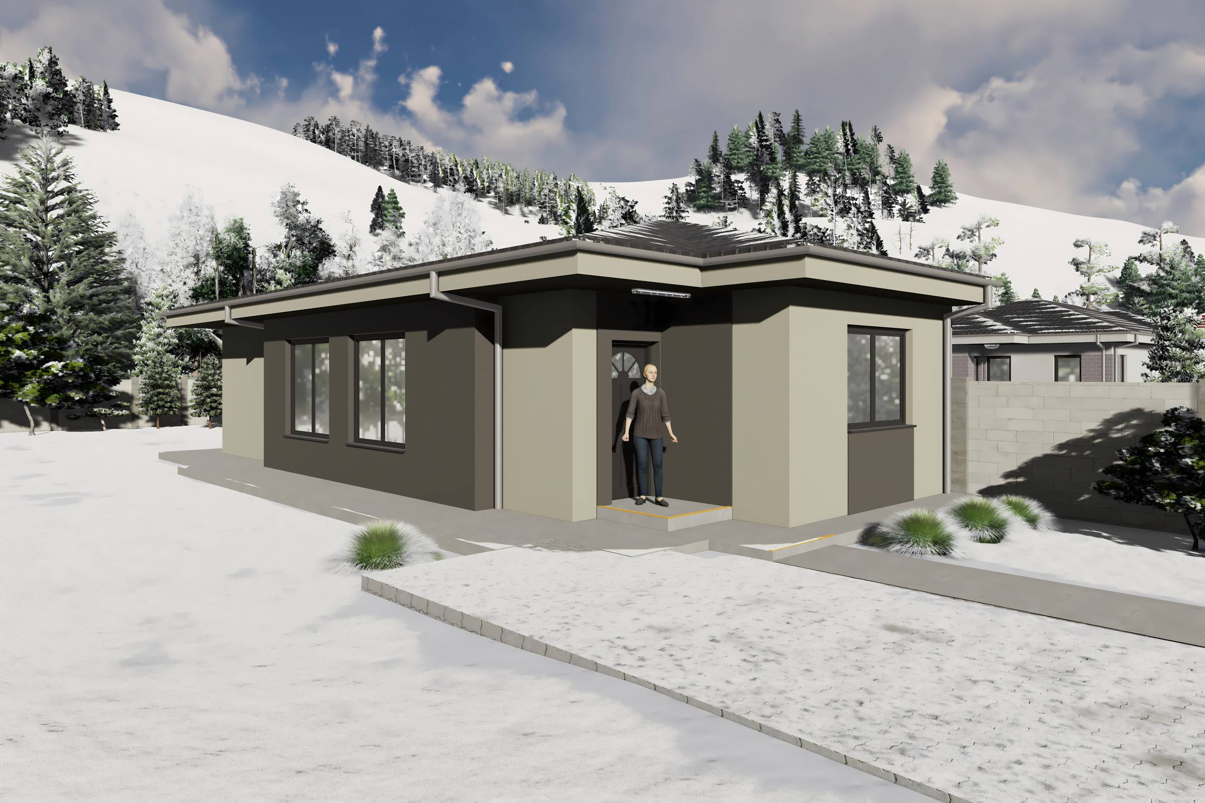 Proiect casa structura metalica alipita la calcan 2 camere - fatada casa pe teren ingust poza 4