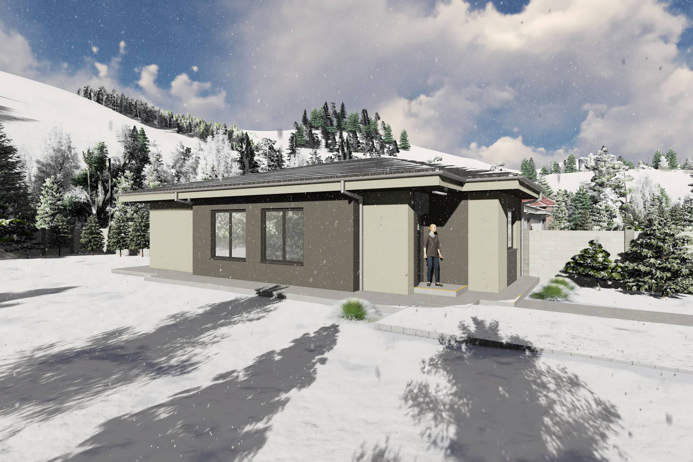Proiect casa structura metalica alipita la calcan 2 camere - fatada casa pe teren ingust poza 8