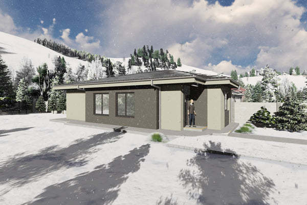 Proiect casa structura metalica alipita la calcan 2 camere - fatada casa pe teren ingust poza 8