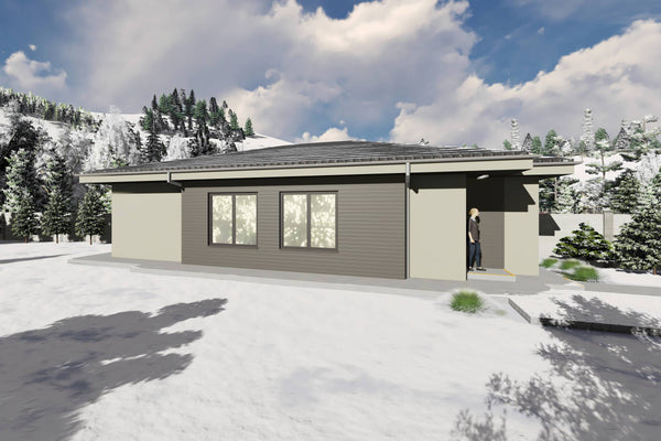 Proiect casa structura metalica alipita la calcan 2 camere - fatada casa pe teren ingust poza 10