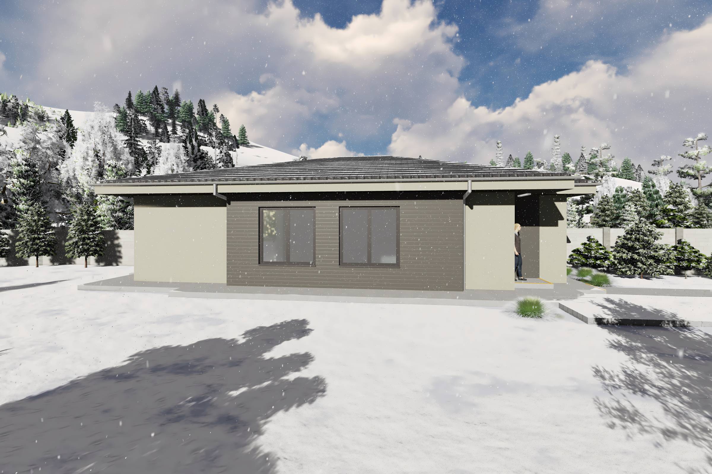 Proiect casa structura metalica alipita la calcan 2 camere - fatada casa pe teren ingust poza 11