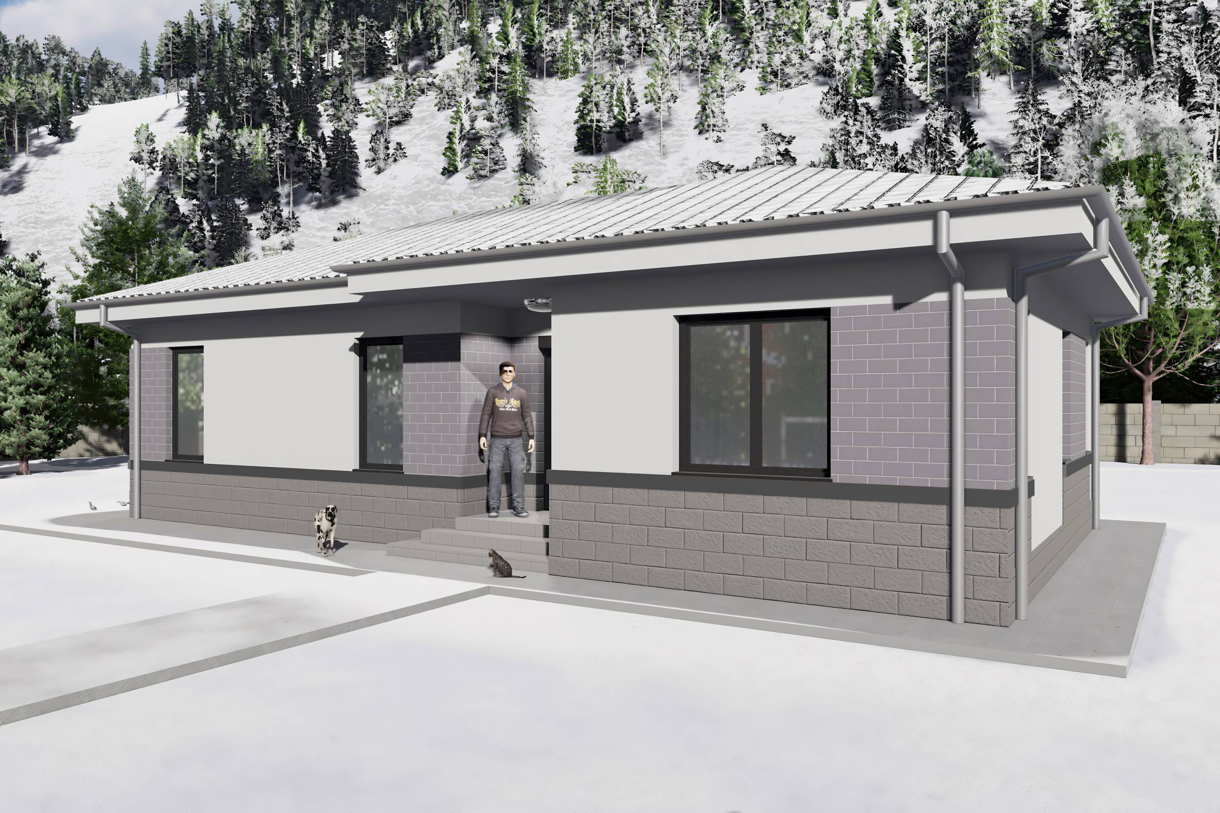 Proiect casa structura metalica cu 2 dormitoare 110mp id 133 - design fatada de casa moderna poza 5