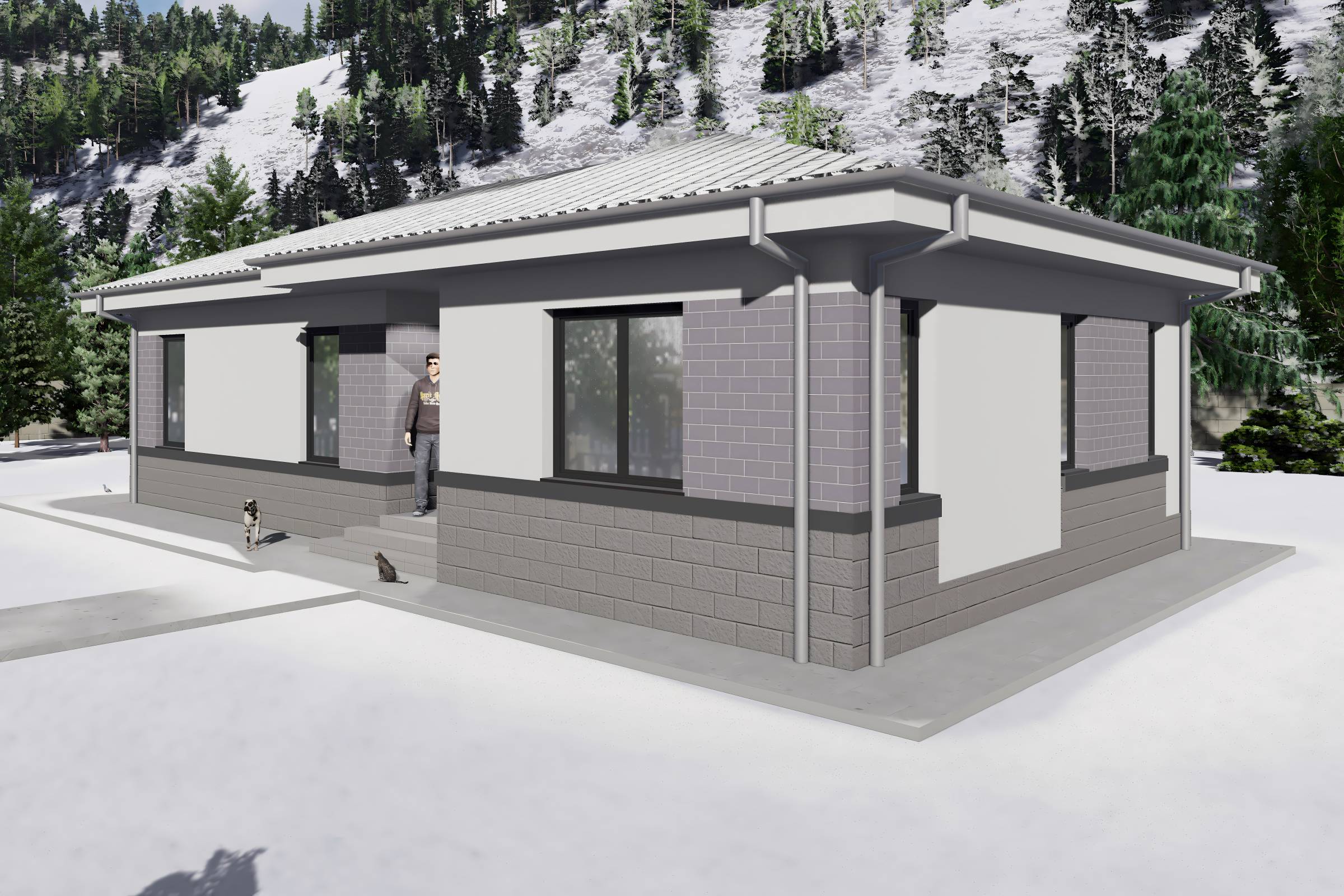 Proiect casa structura metalica cu 2 dormitoare 110mp id 133 - design fatada de casa moderna poza 6