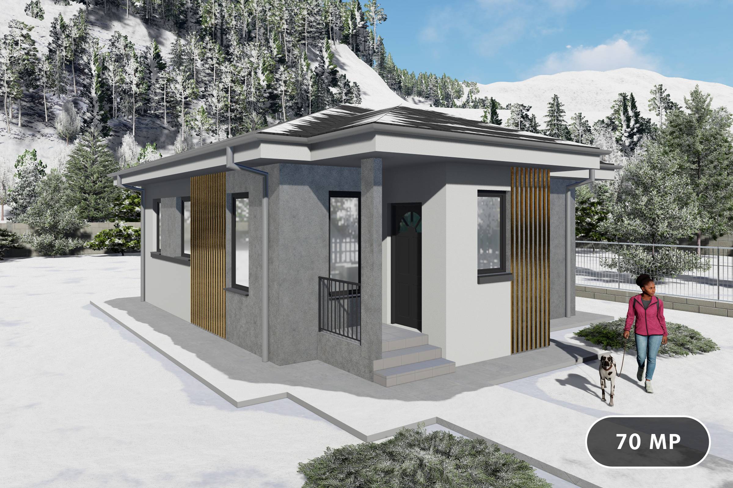 Proiect casa structura metalica cu un singur dormitor 70 mp - casa moderna mica poza 1
