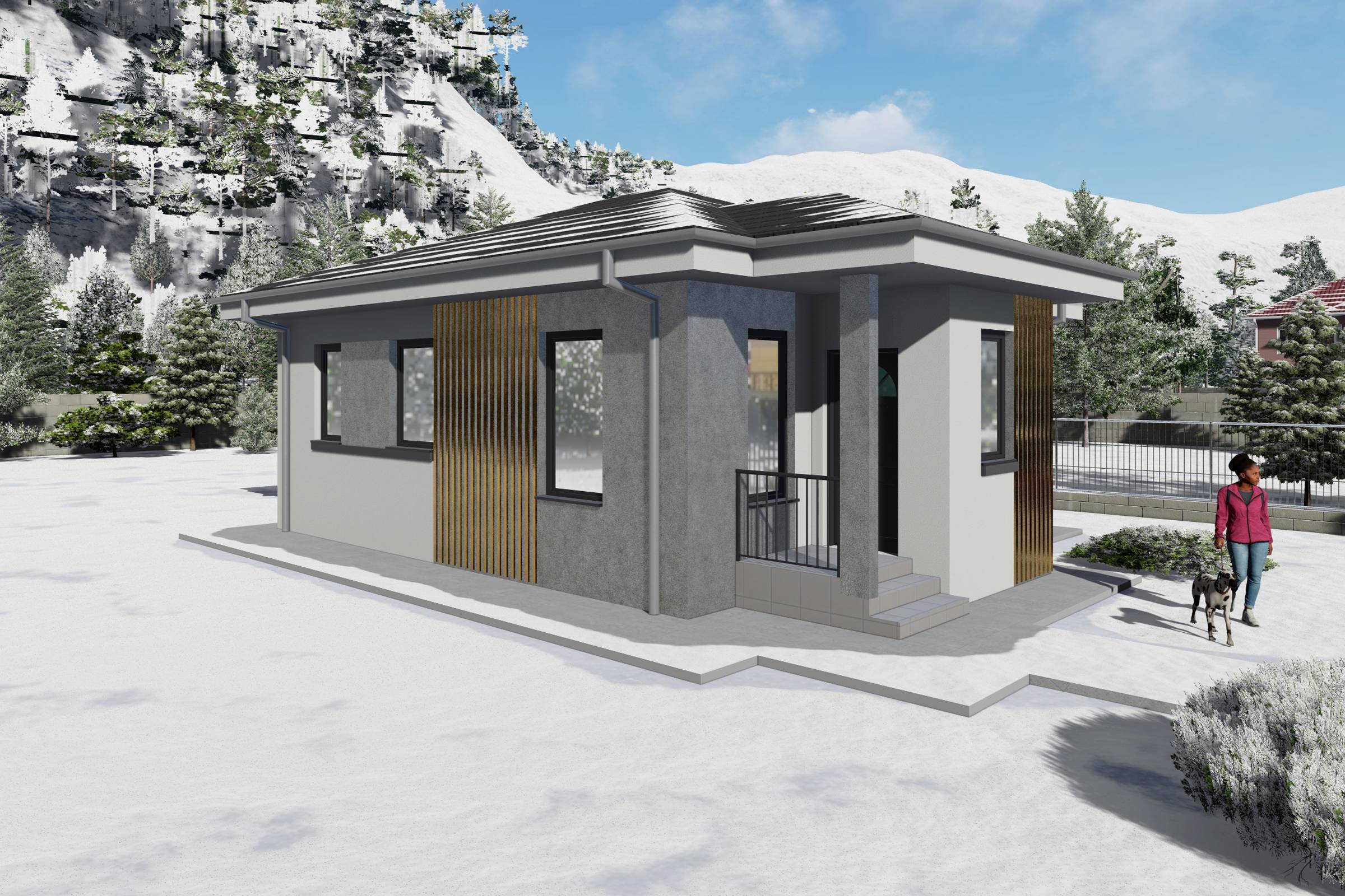 Proiect casa structura metalica cu un singur dormitor 70 mp - casa moderna mica poza 2