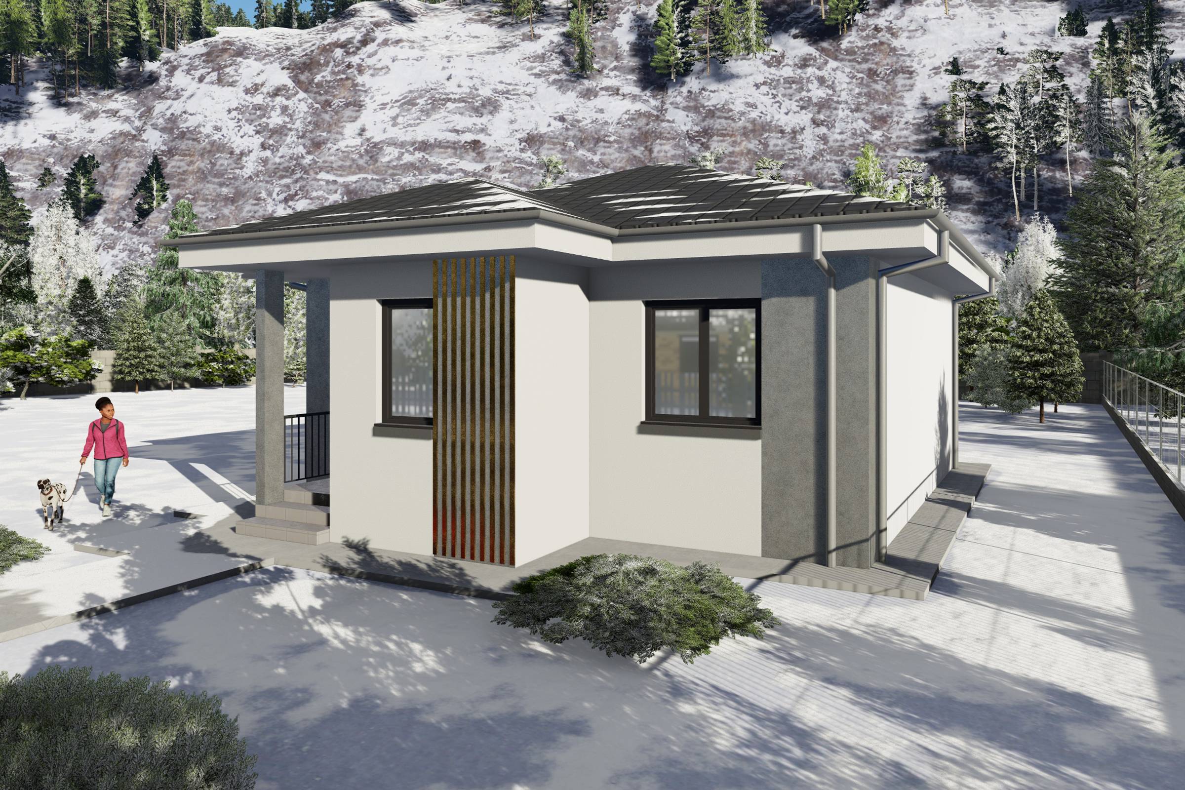 Proiect casa structura metalica cu un singur dormitor 70 mp - casa moderna mica poza 13