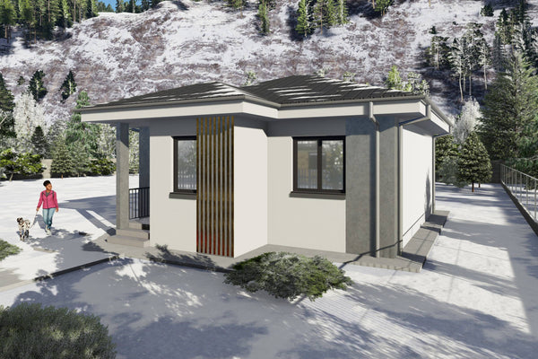 Proiect casa structura metalica cu un singur dormitor 70 mp - casa moderna mica poza 13