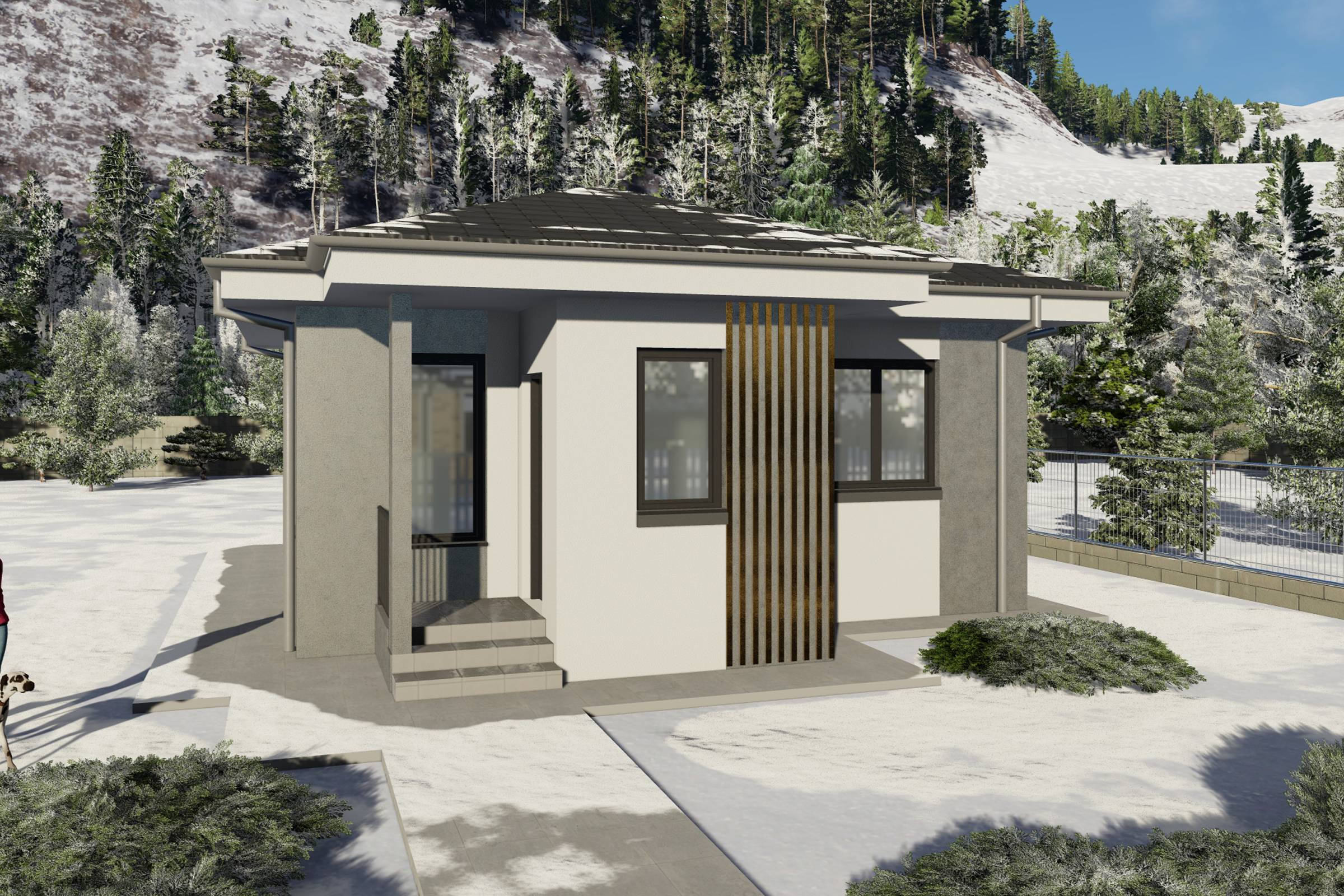 Proiect casa structura metalica cu un singur dormitor 70 mp - casa moderna mica poza 16