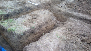 Proiect de casa in Snagov 162 mp trasare si sapatura fundatie thumbnail