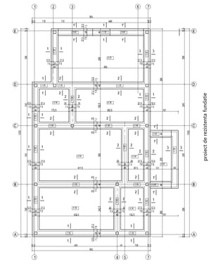 Casa metalica in Ialomita plantare armatura si cofrare grinzi fundatie thumbnail