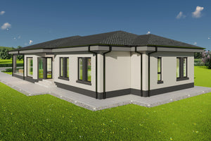Randare fatada laterala casa pe structura metalica model 218-166 thumbnail