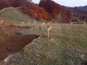 Sapatura mecanizata pentru fundatie restaurant, proiect de 620mp in Brasov thumbnail