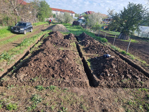 Sapatura mecanizata si turnare talpa fundatie casa 130 mp Ilfov Snagov thumbnail