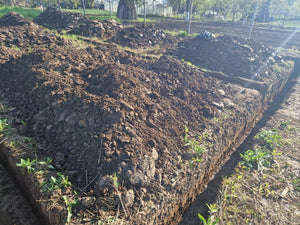 Sapatura mecanizata si turnare talpa fundatie casa 130 mp Ilfov Snagov thumbnail