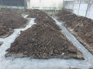 Trasare axe constructie sapatura si turnare talpa fundatie casa 198 mp thumbnail