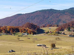 Trasare fundatie pentru proiect restaurant 620mp in judetul Brasov thumbnail