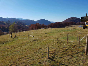 Trasare fundatie pentru proiect restaurant 620mp in judetul Brasov thumbnail