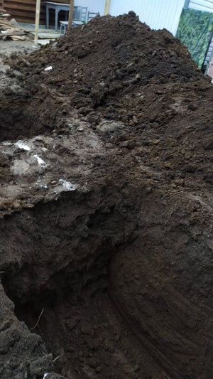Trasare sapatura si plantare armatura fundatie proiect casa 157 mp thumbnail