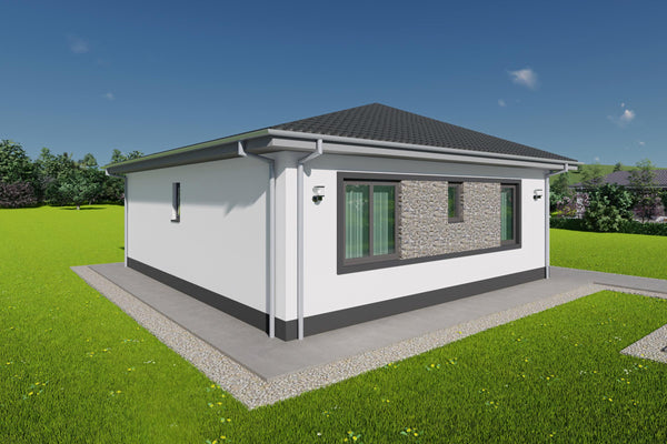 Vedere fatada spate casa din profile metalice cu design minimalist